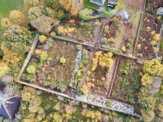 Granton Garden - Autumn 2015